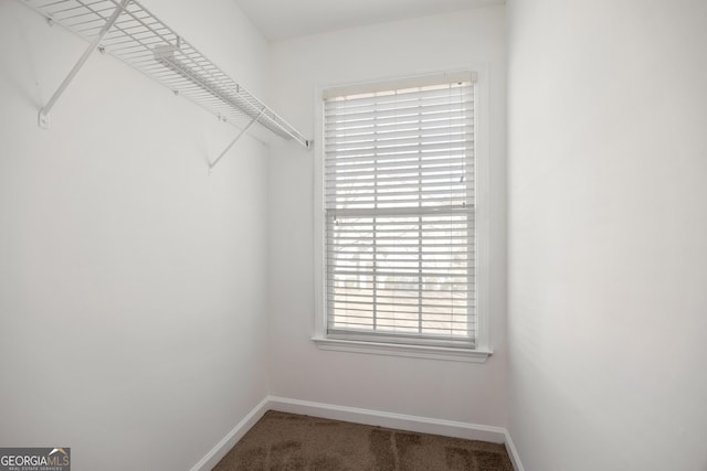 walk in closet featuring carpet floors