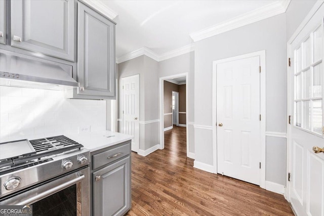 kitchen with high end stove, gray cabinets, ventilation hood, and ornamental molding