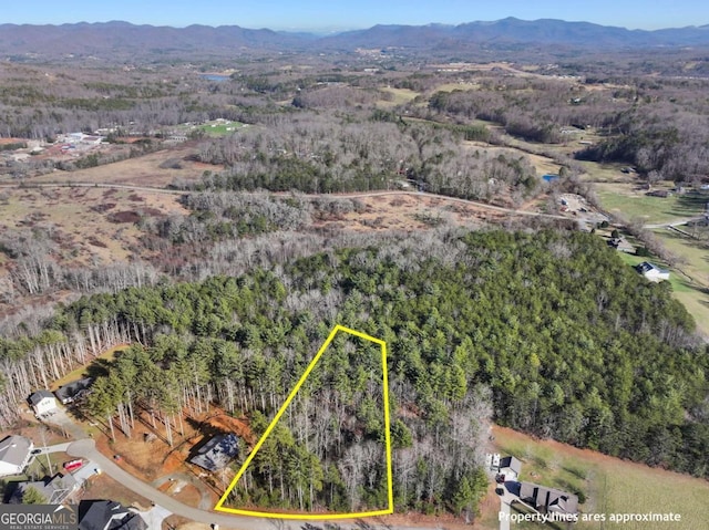 Listing photo 2 for 0 Nathaniels Way, Blairsville GA 30512