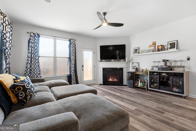 living room with ceiling fan and hardwood / wood-style floors