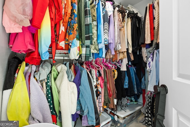 view of walk in closet