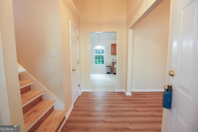 entryway with light hardwood / wood-style flooring