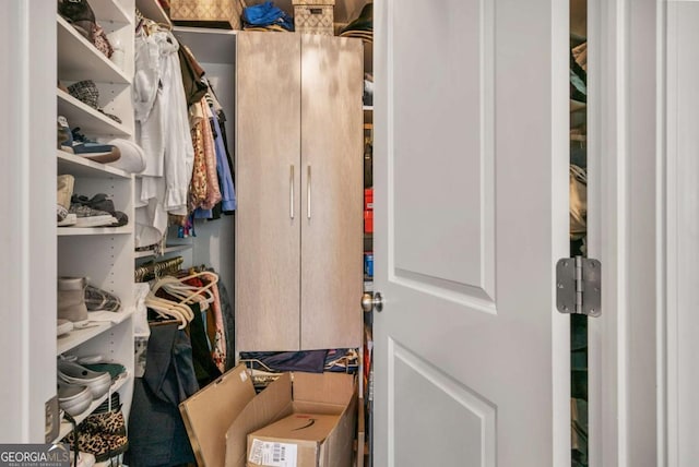 view of spacious closet