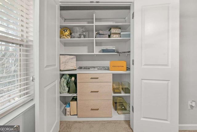 view of closet