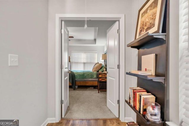 hallway with wood-type flooring