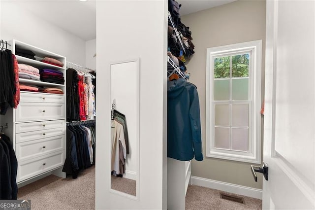 walk in closet featuring light carpet