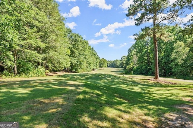 surrounding community with a view of trees and a lawn
