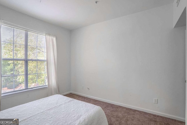 bedroom with carpet floors