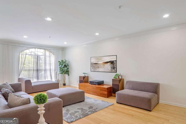 living room with crown molding and light wood-type flooring