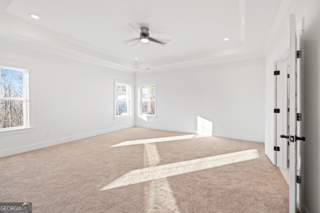 empty room featuring light carpet, a raised ceiling, ceiling fan, and crown molding