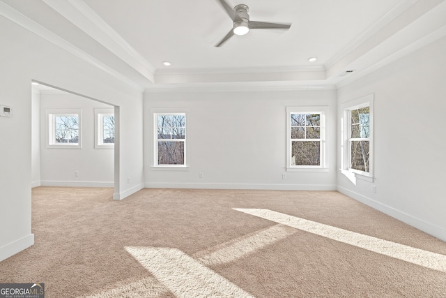 unfurnished room with a wealth of natural light, a raised ceiling, and ceiling fan