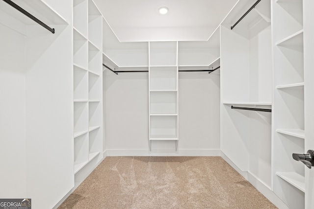 walk in closet with light colored carpet