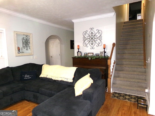 living room featuring hardwood / wood-style flooring, ornamental molding, and a textured ceiling