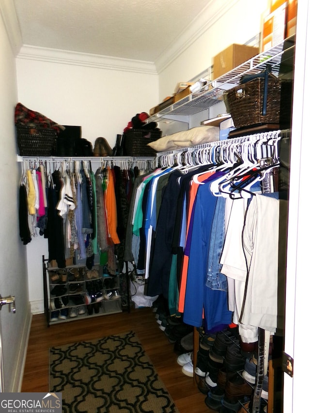 walk in closet with hardwood / wood-style flooring