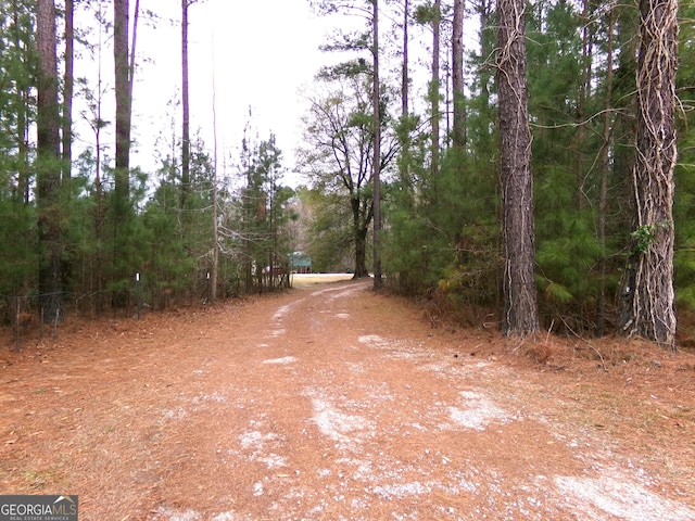 view of local wilderness