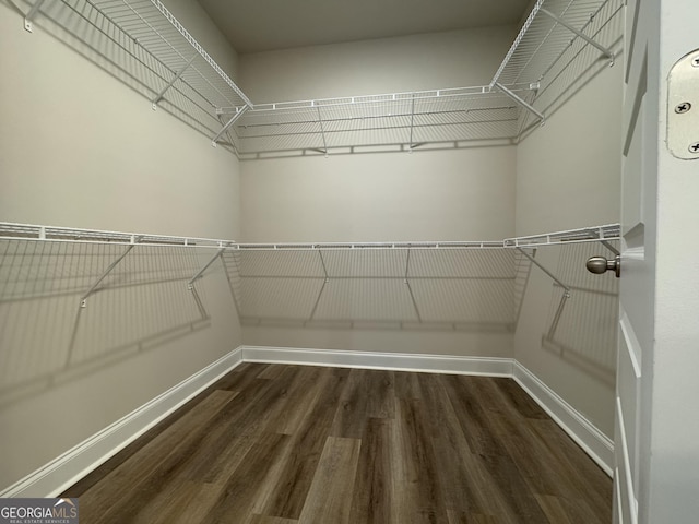 spacious closet featuring dark wood-type flooring