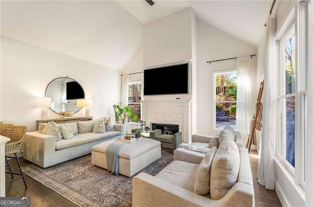 living room featuring a fireplace, dark wood-type flooring, and high vaulted ceiling