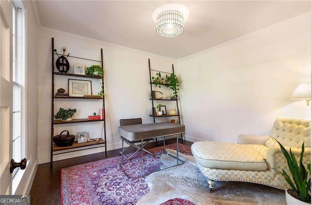 office with wood-type flooring and crown molding