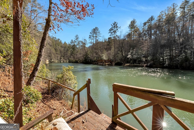 dock area with a water view