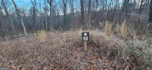 LOT88 Hilton Dr, Ellijay, GA 30540