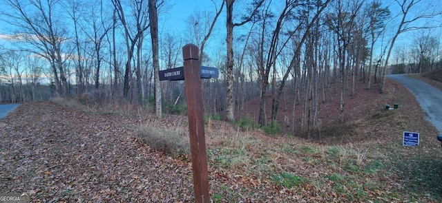 Listing photo 2 for LOT88 Hilton Dr, Ellijay GA 30540