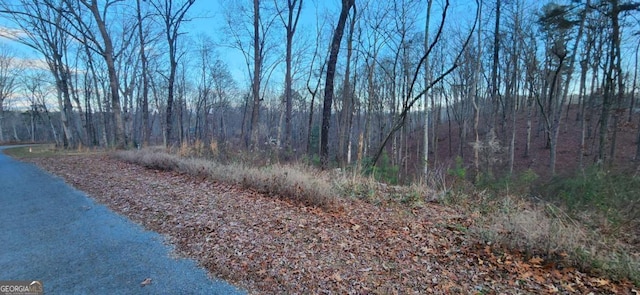 Listing photo 3 for LOT88 Hilton Dr, Ellijay GA 30540