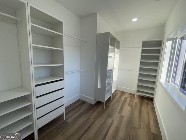 spacious closet with dark wood-type flooring