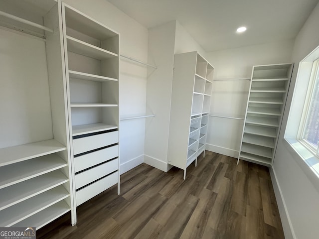 spacious closet with dark hardwood / wood-style flooring