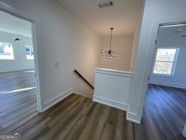 stairway with an inviting chandelier, a wealth of natural light, and wood-type flooring