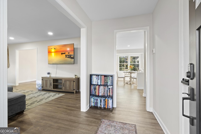 living room featuring wood-type flooring