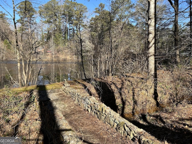 view of local wilderness