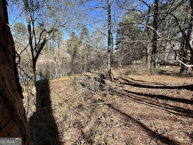 view of local wilderness