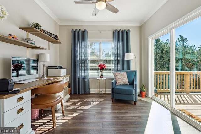 office area with ceiling fan, dark hardwood / wood-style flooring, and crown molding