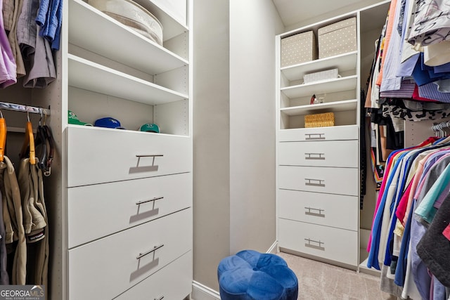 spacious closet featuring light carpet