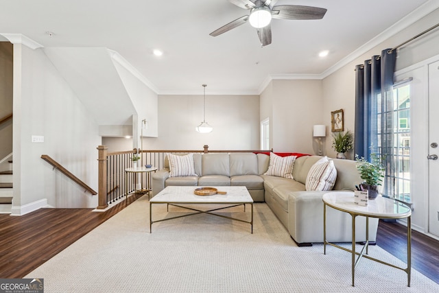 living room featuring ornamental molding, ceiling fan, and hardwood / wood-style floors