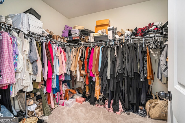 walk in closet featuring carpet flooring