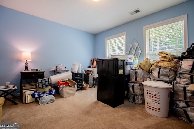 bedroom with carpet