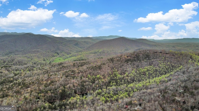 property view of mountains