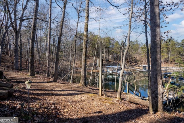 view of yard with a water view