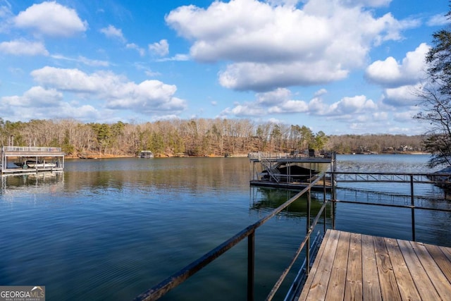 dock area with a water view