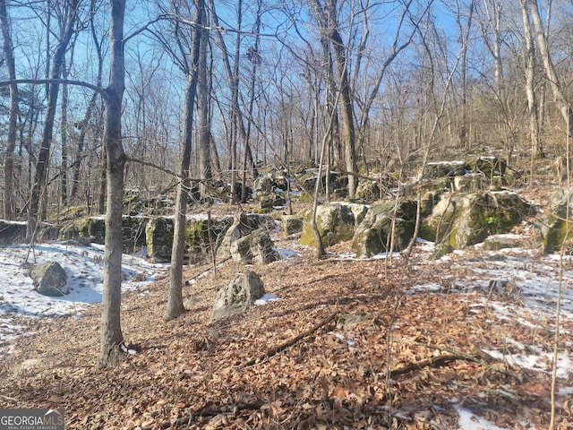 view of local wilderness