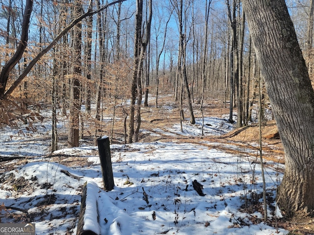 view of snowy landscape