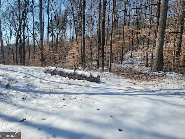 view of yard layered in snow