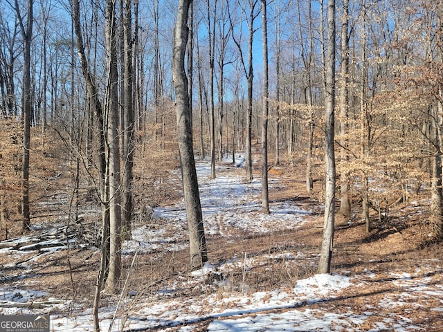 view of snowy view