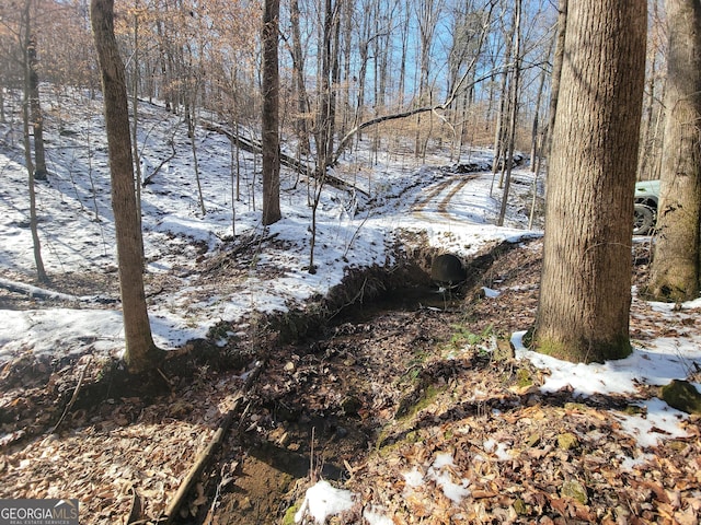 view of snow covered land