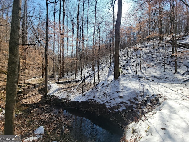 view of snowy view