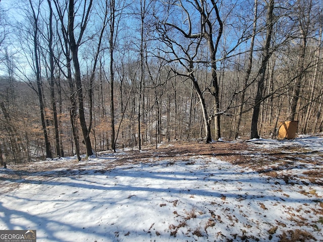 view of snowy yard