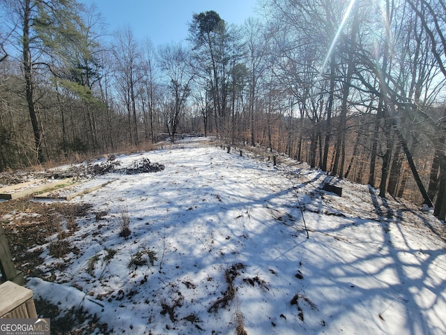 view of yard covered in snow