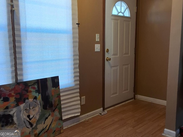 entrance foyer featuring hardwood / wood-style floors