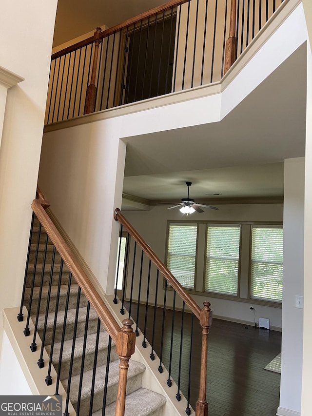 stairway with hardwood / wood-style floors, ceiling fan, and a high ceiling